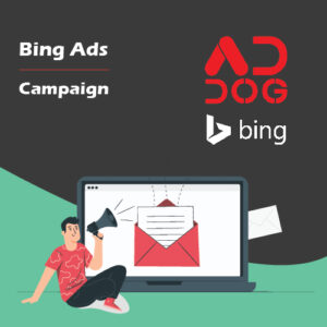 Bing Ads Campaign