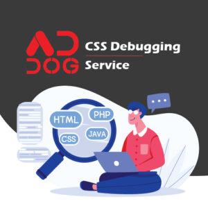 CSS Debugging Service Package