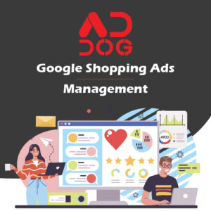 Google Shopping Ads Management