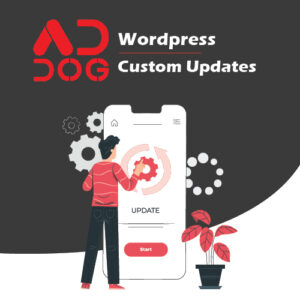 Wordpress Custom Updates