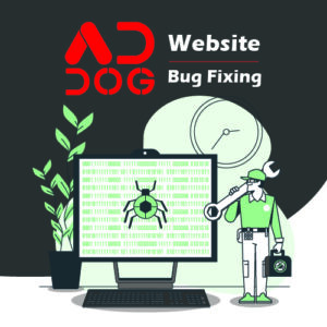 Website bug fixing
