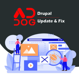 Drupal update & fixes
