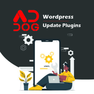 Update Plugins