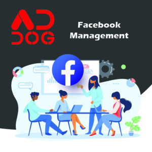 Facebook Management