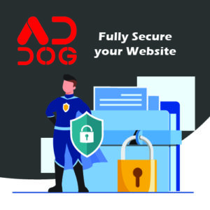 Fully secure your website
