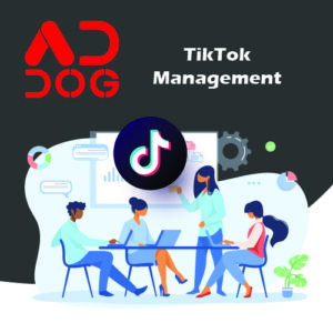TikTok Management