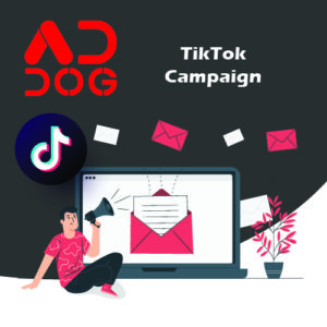TikTok Campaign