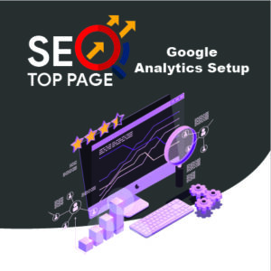 Seo Top Page Analytics Setup