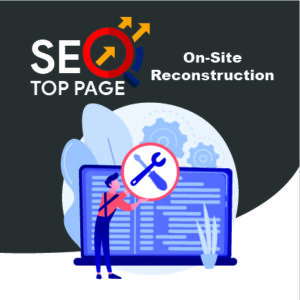 Seo Top Page website reconstruction